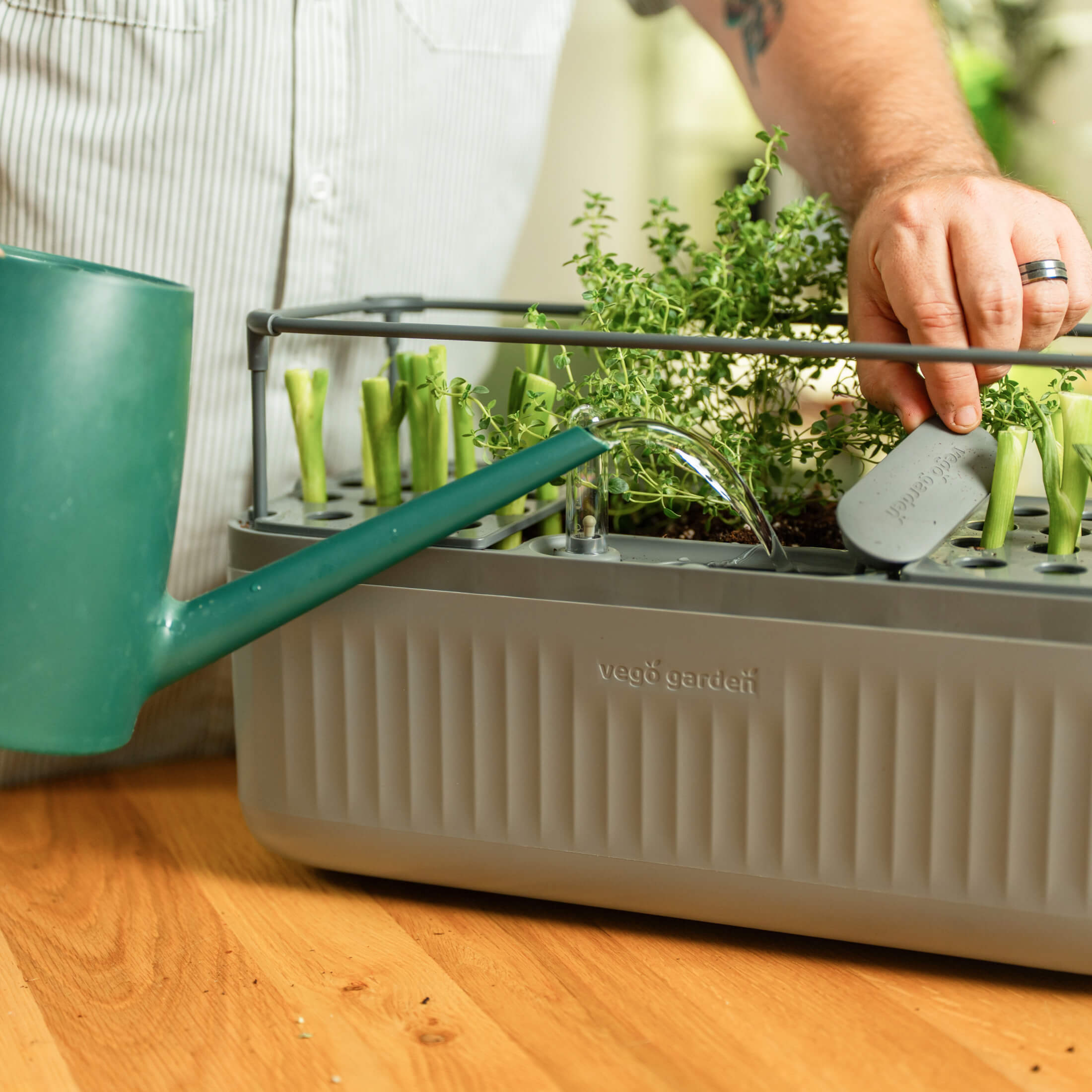 EZ Self-Watering Herb Planter with Trellis Gen 2