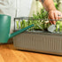 EZ Self-Watering Herb Planter with Trellis Gen 2