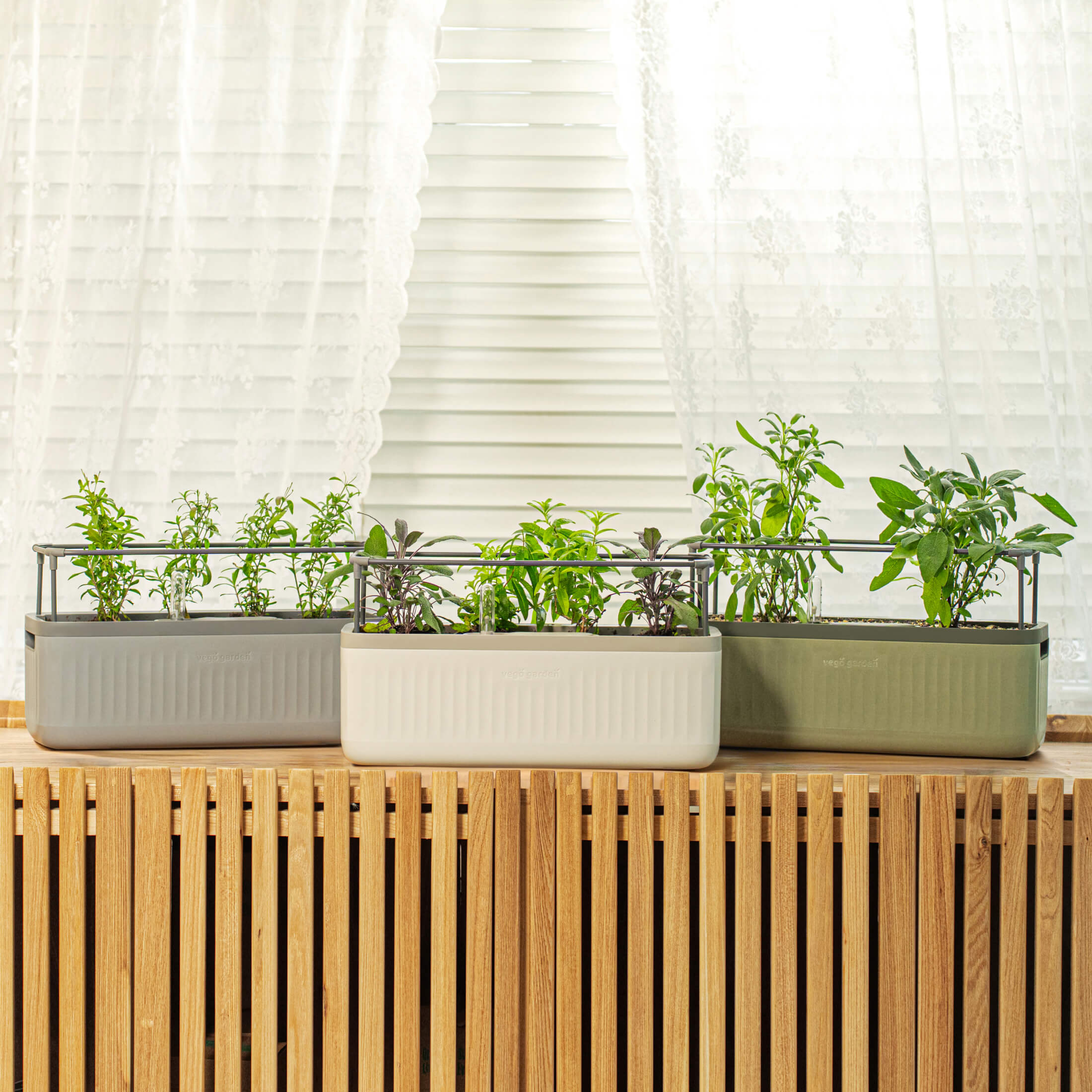 EZ Self-Watering Herb Planter with Trellis Gen 2