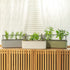 EZ Self-Watering Herb Planter with Trellis Gen 2