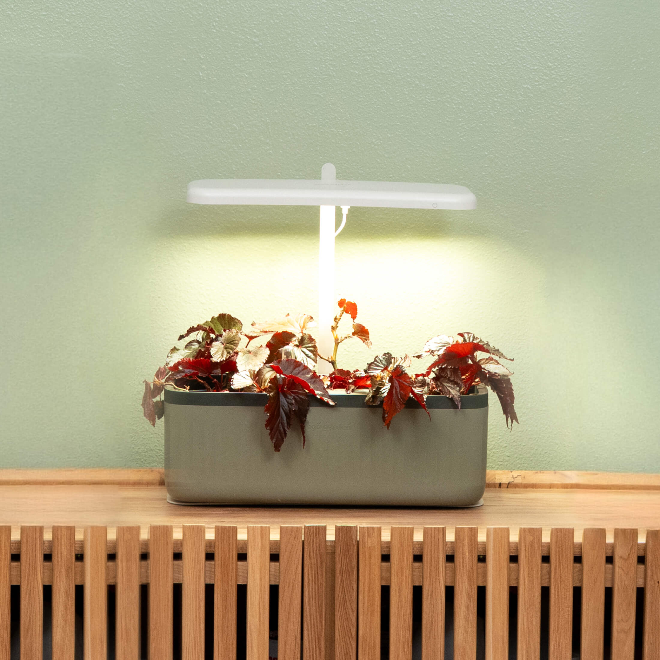 EZ Self-Watering Herb Planter with Trellis Gen 2