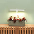 EZ Self-Watering Herb Planter with Trellis Gen 2