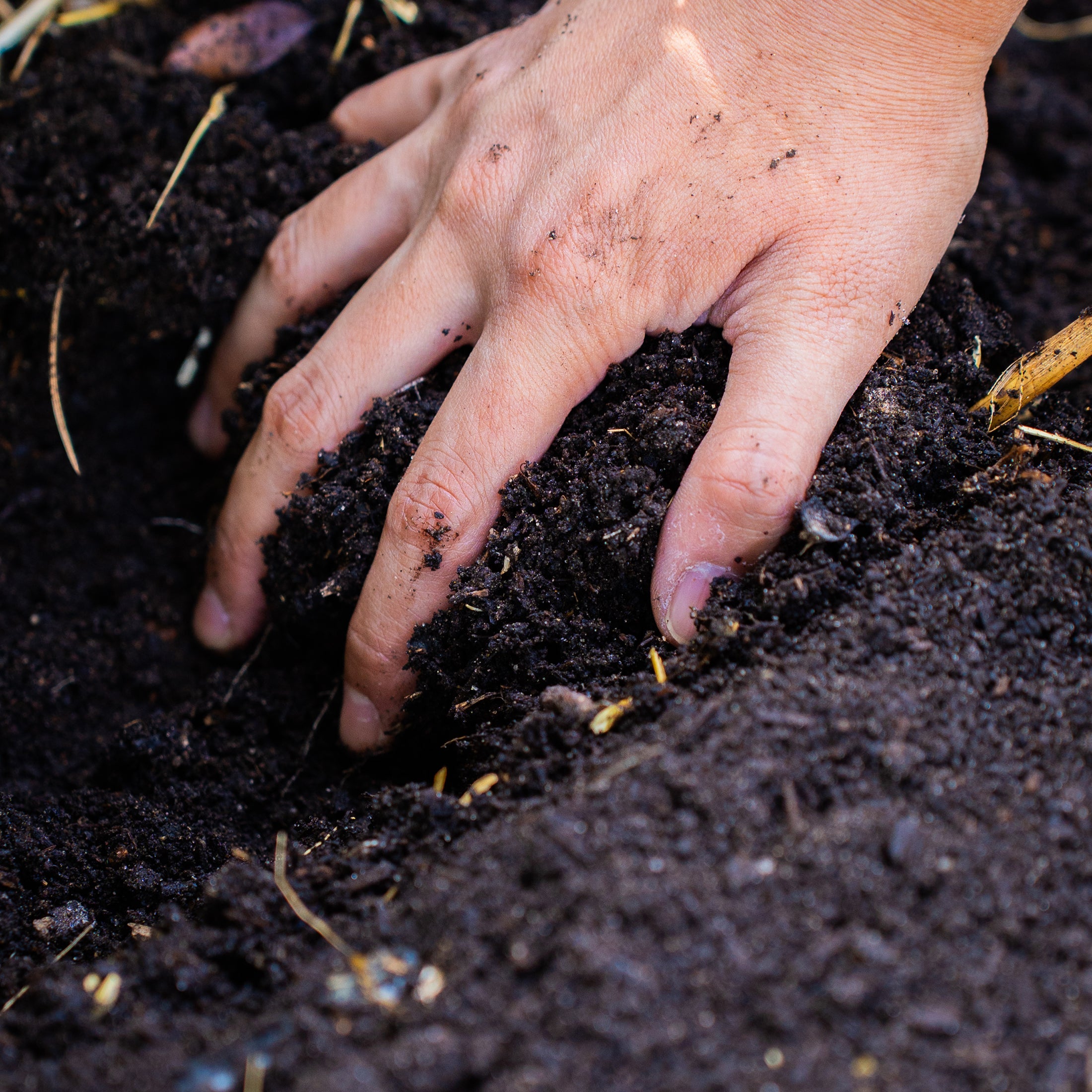 Vego Garden Regenerative Compost