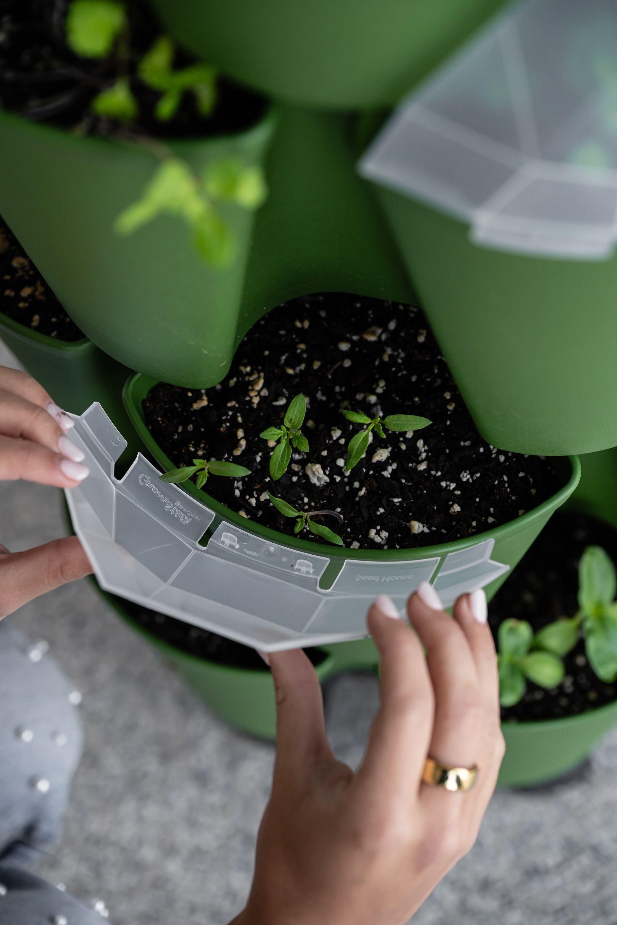 GreenStalk Garden Seed House - Set of 6