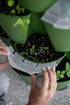 GreenStalk Garden Seed House - Set of 6