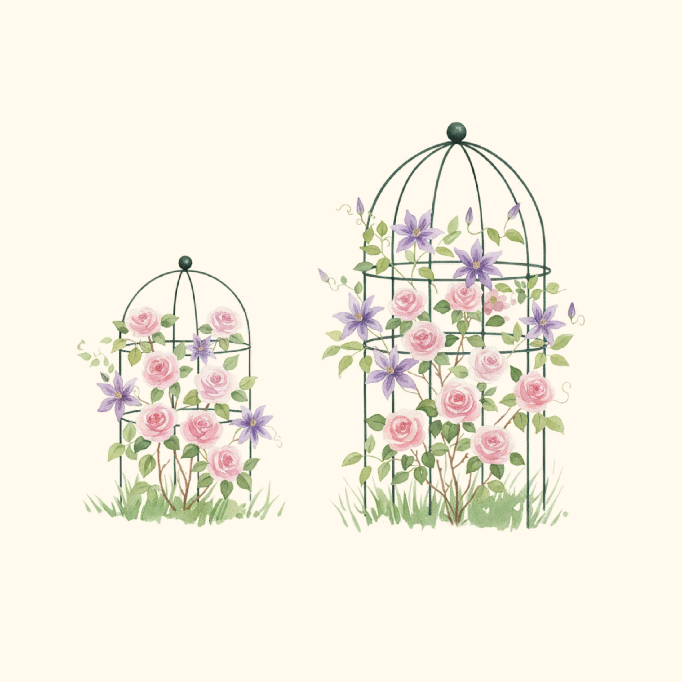 Birdcage Trellis - 2 Pack