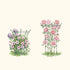 Flower Cage Trumpet - 2 Pack