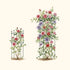 Flower Cage Round - 2 Pack