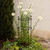 Flower Cage Round - 2 Pack