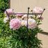 Flower Cage Trumpet - 2 Pack
