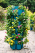7 Tier GreenStalk Garden Leaf Vertical Planter - Basket Weave Texture