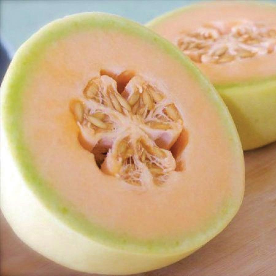 Orange Flesh Honeydew Melon