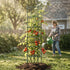 MaxGrow Tomato Tower 6 Tier - 3 Pack