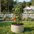 MaxGrow Tomato Tower 3 Tier - 3 Pack