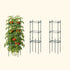 MaxGrow Tomato Tower 3 Tier - 3 Pack