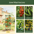 MaxGrow Tomato Tower 3 Tier - 3 Pack