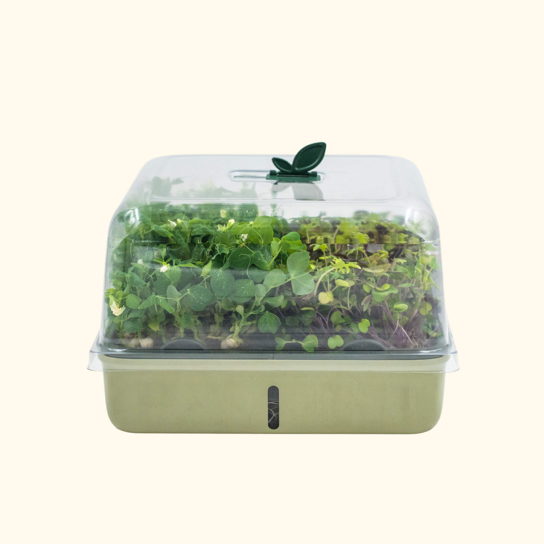 2-Pack EZ Microgreens Planter