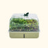 2-Pack EZ Microgreens Planter