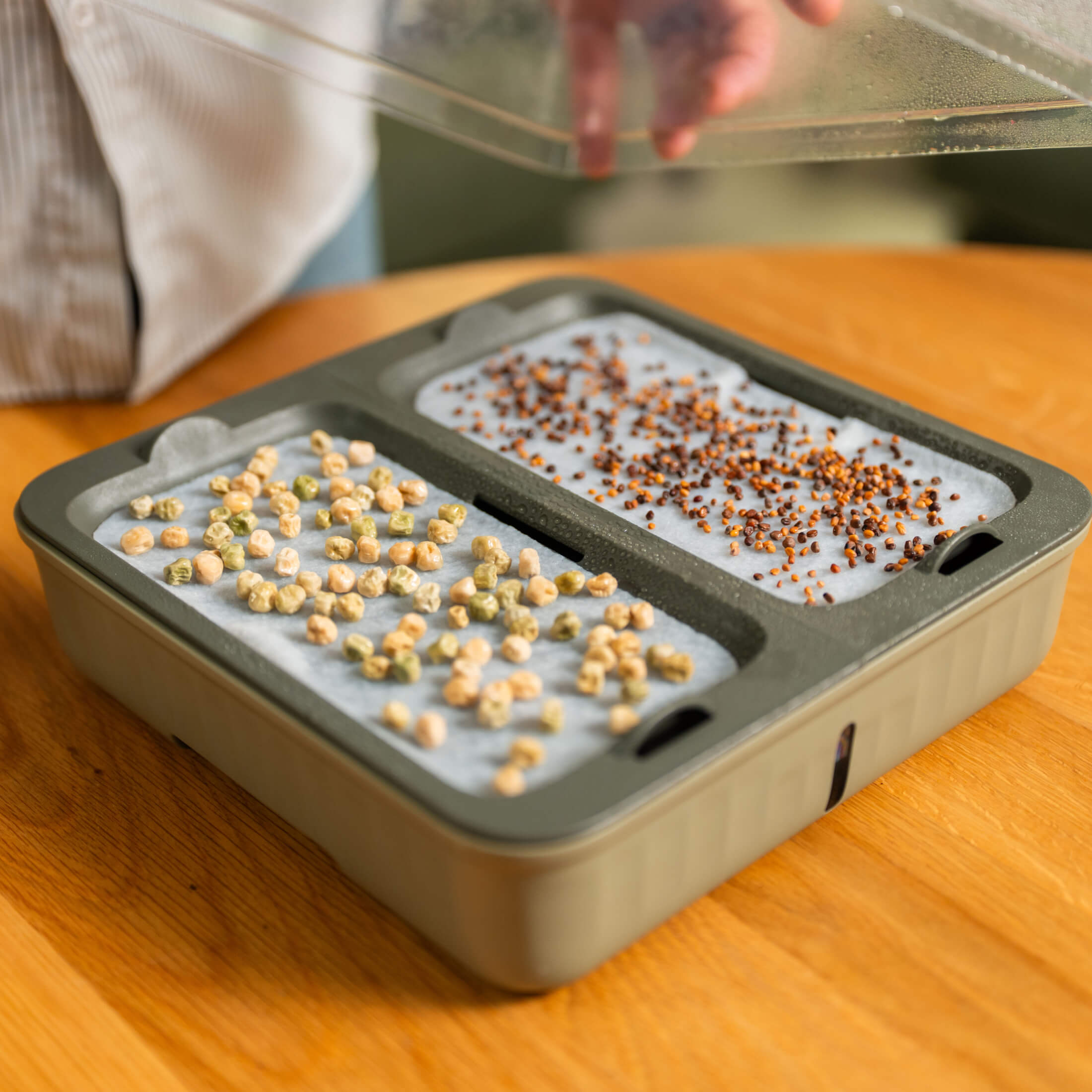 2-Pack EZ Microgreens Planter