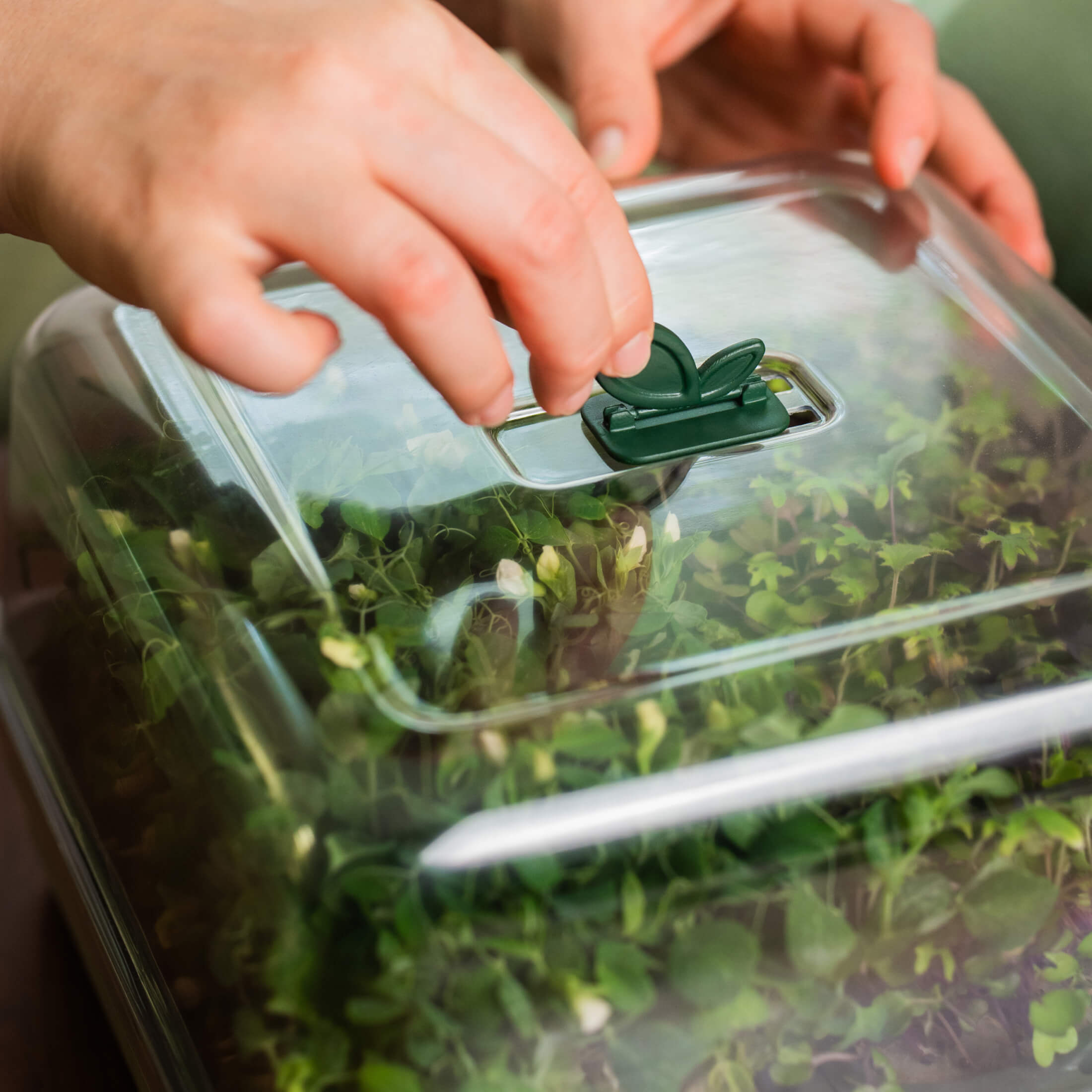 2-Pack EZ Microgreens Planter