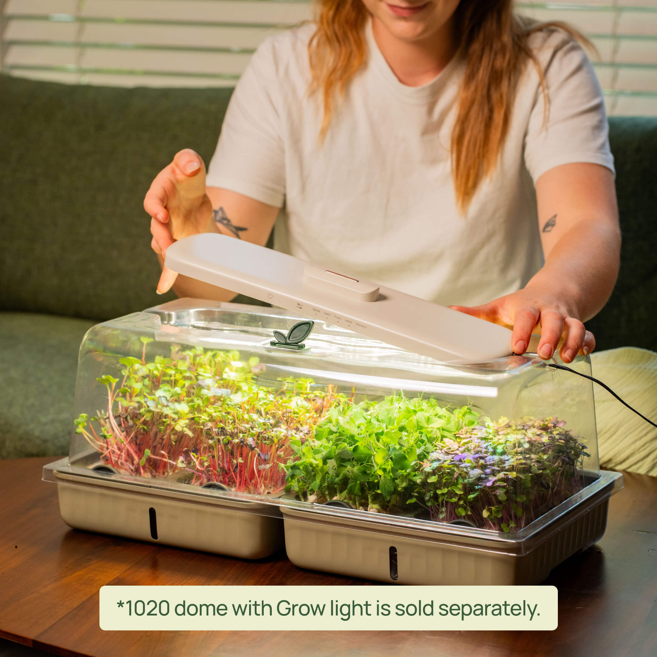 2-Pack EZ Microgreens Planter