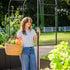 Monet Garden Arch - Standard Frame