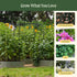 Monet Garden Arch - Standard Frame