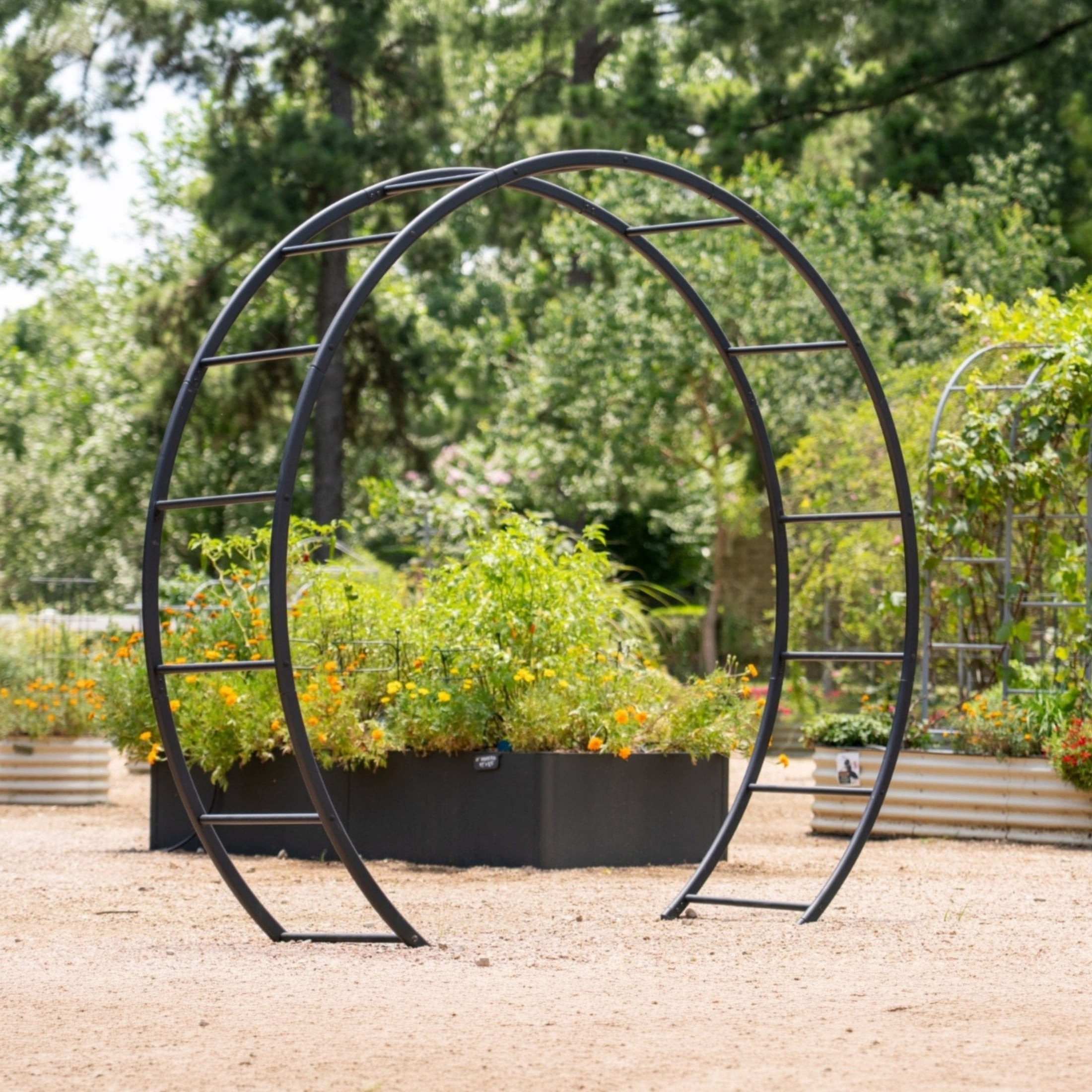 Moon Gate