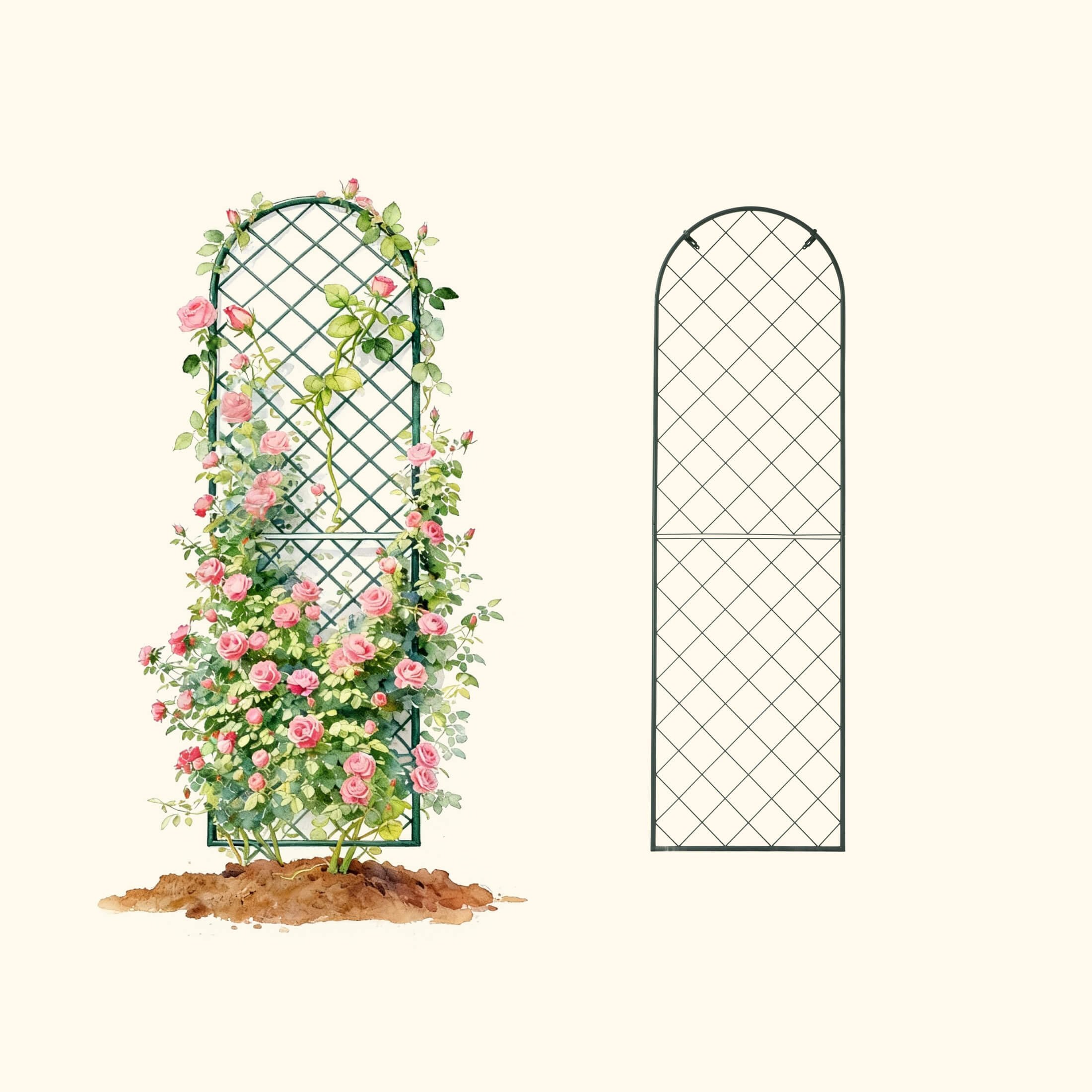 Mounted Wall Trellis