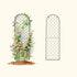 Mounted Wall Trellis