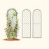 Mounted Wall Trellis