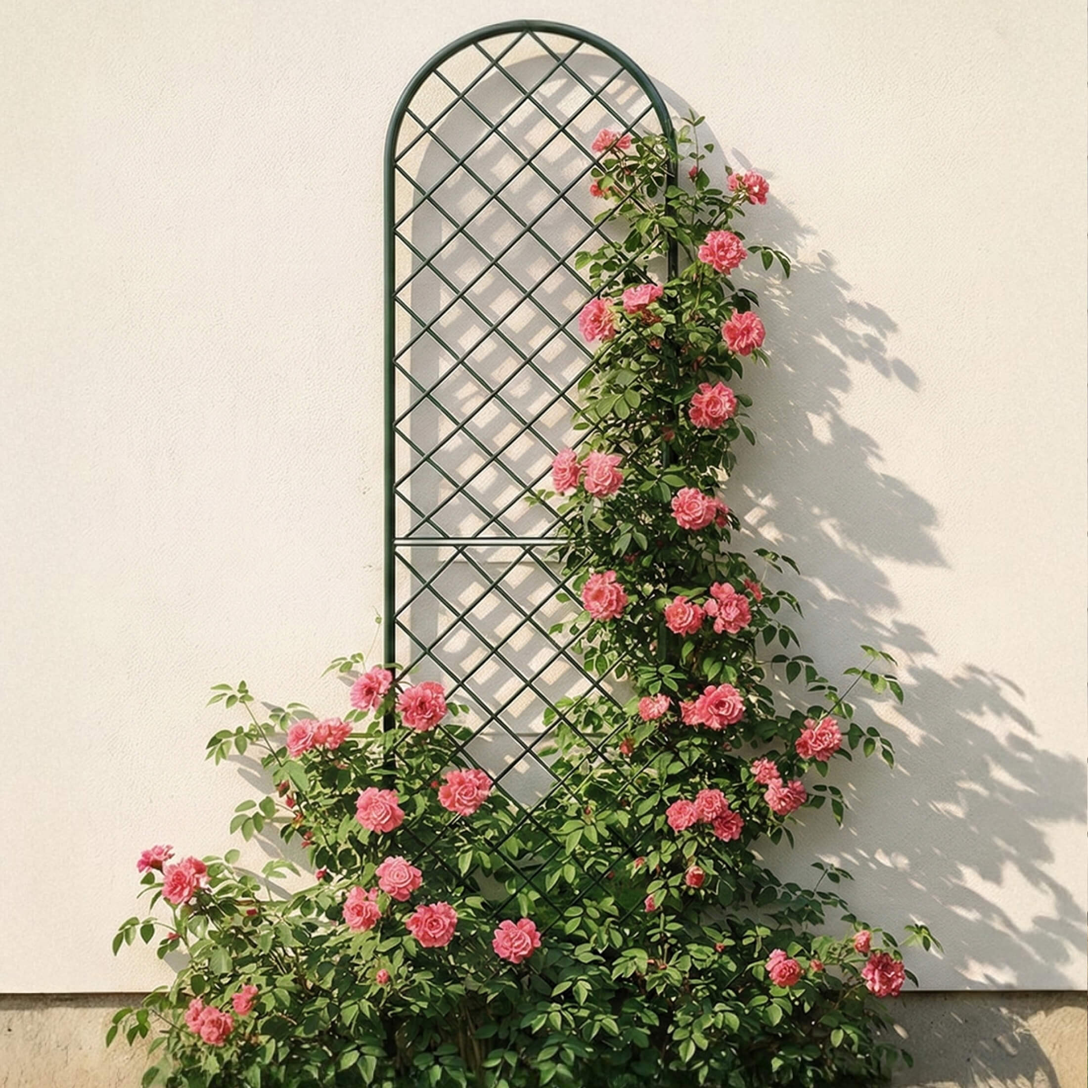 Mounted Wall Trellis
