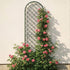 Mounted Wall Trellis