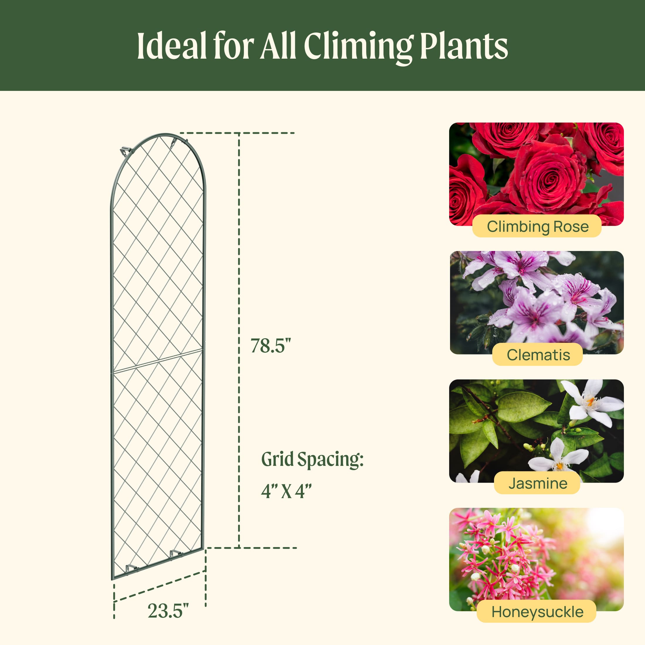 Mounted Wall Trellis