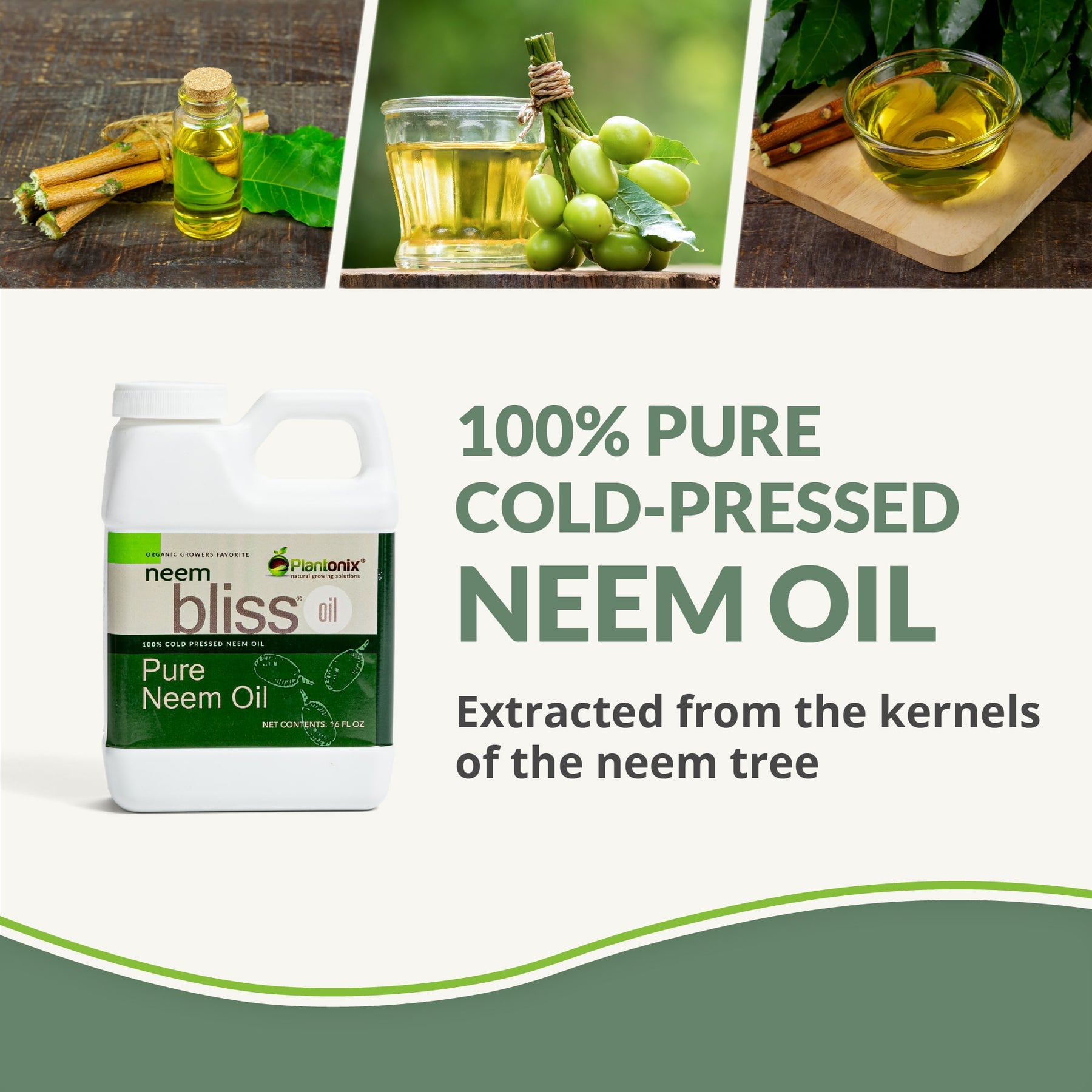 Neem Bliss Oil 100% Pure Cold Pressed Neem Oil OMRI Listed