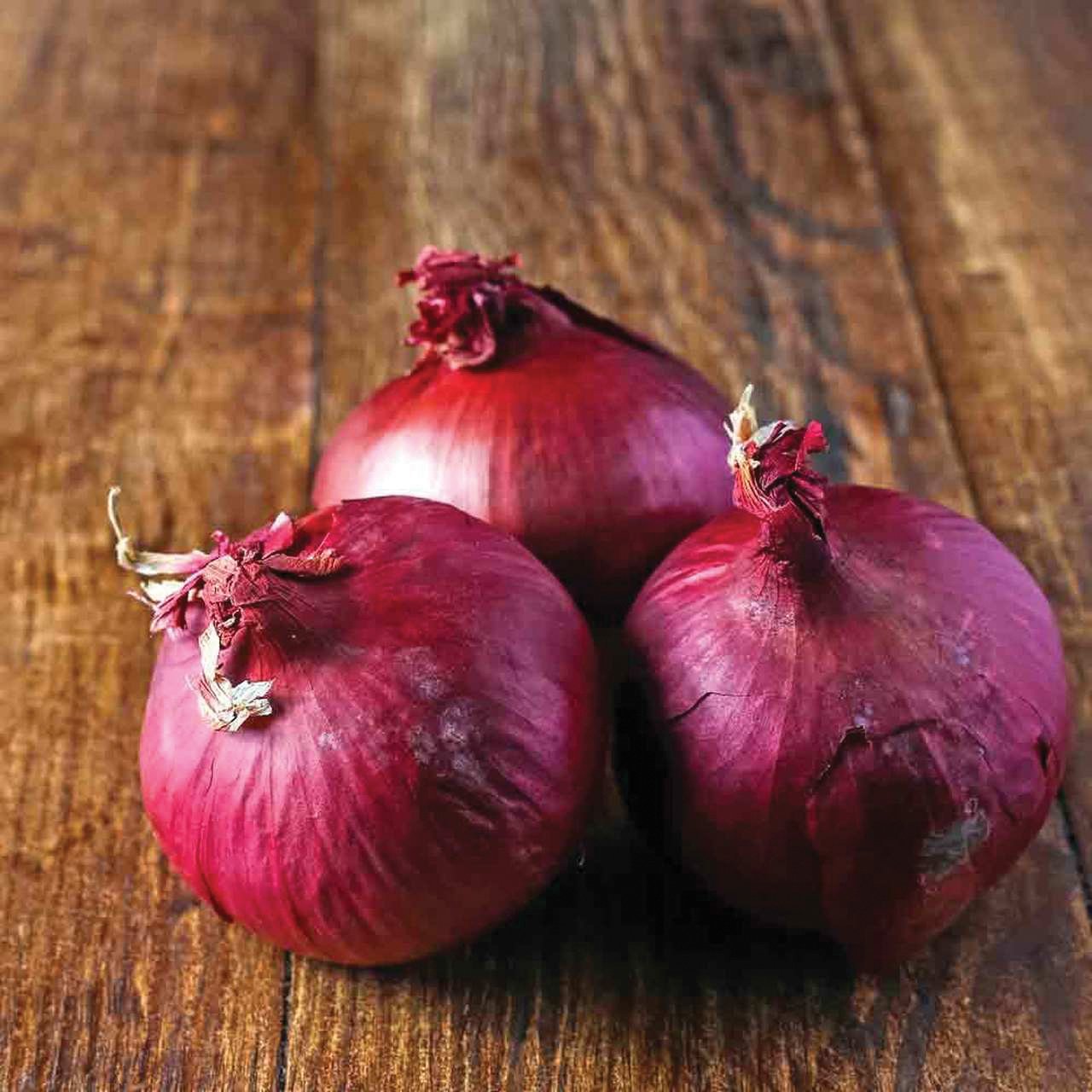 Red Wethersfield Onion