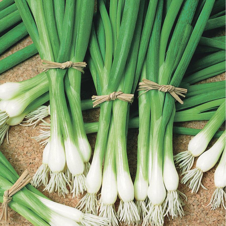 Heshiko Bunching Onion