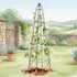 Pyramid Obelisk Garden Trellis - 6.5 ft