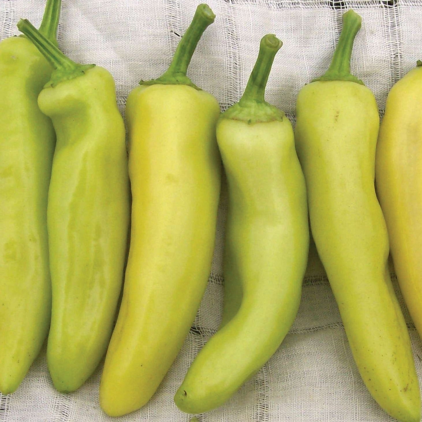 Hungarian Yellow Wax Hot Pepper