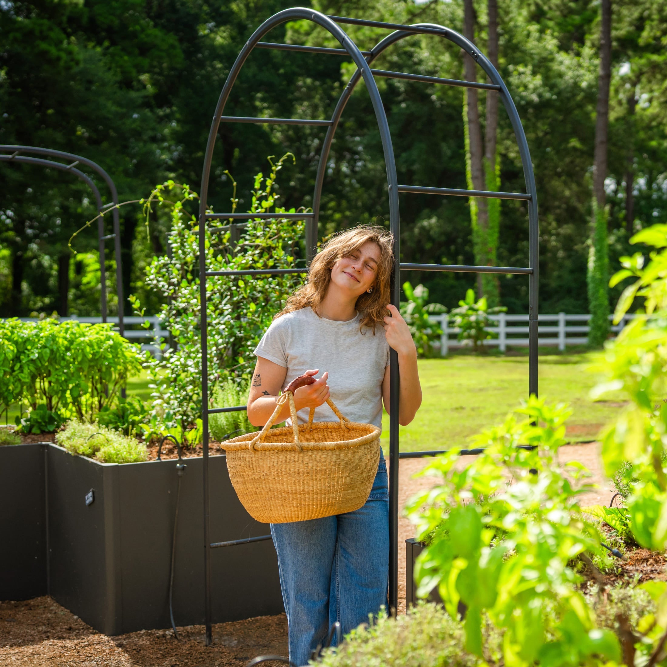 Round Garden Arch - Standard Frame