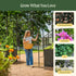 Round Garden Arch - Standard Frame