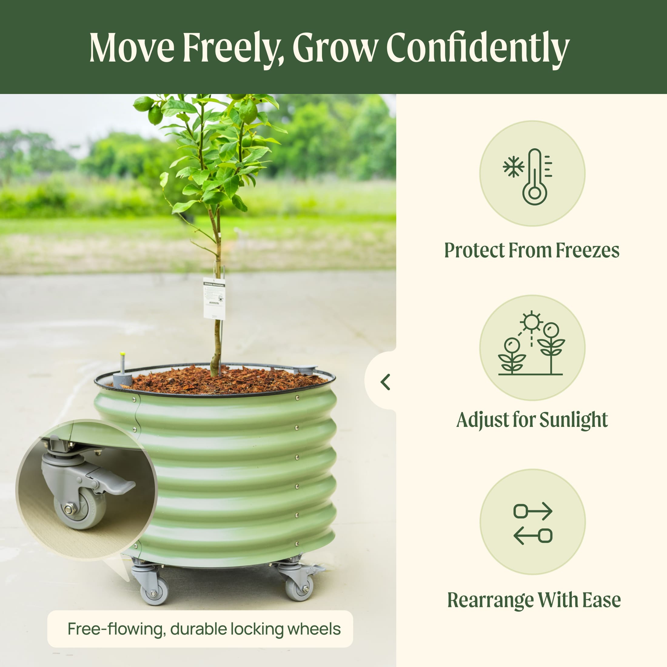 Self-Watering Rolling Citrus Tree Planter 30 Gallon - Gen 3