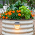 Diamond Garden Solar Light - Classic Mount