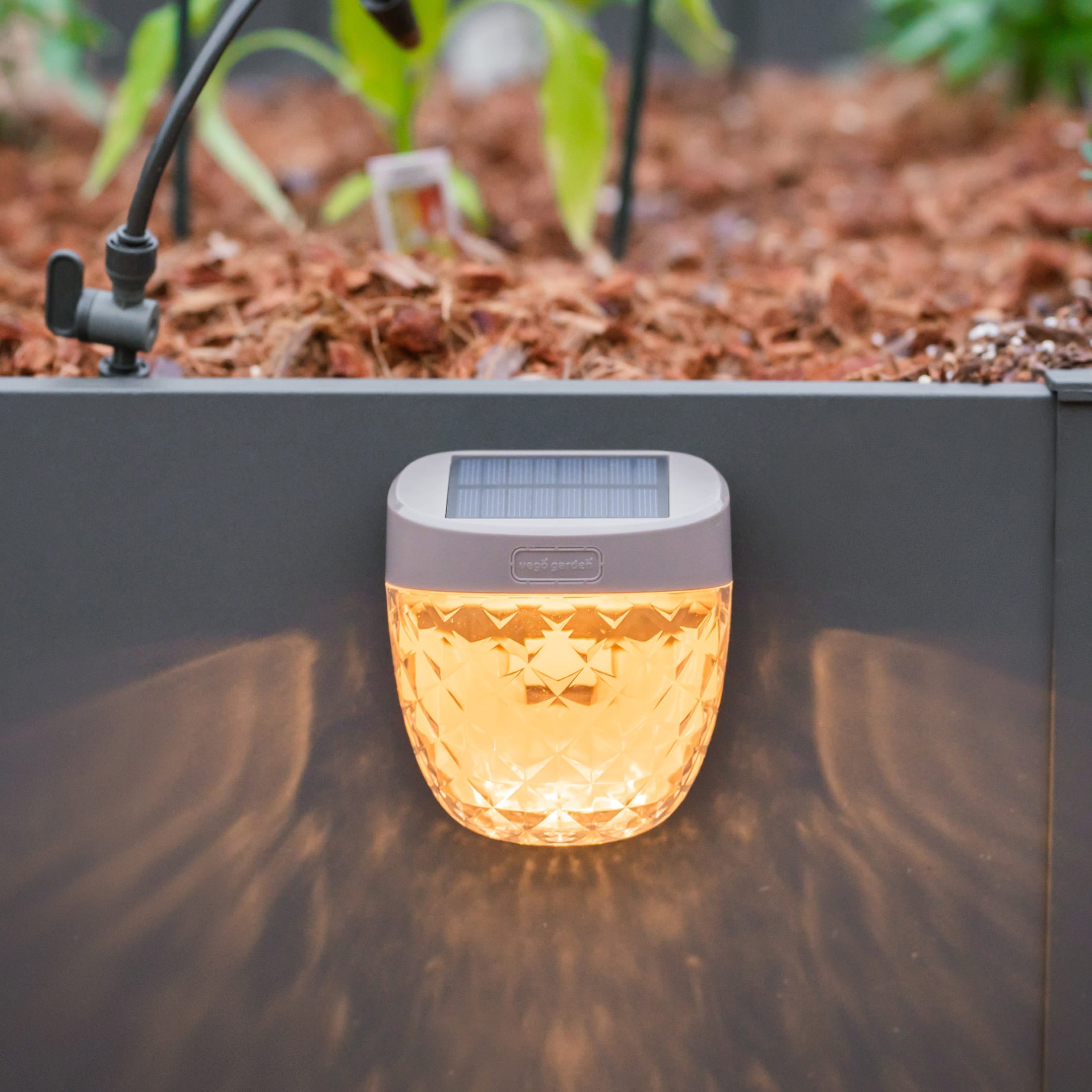 Diamond Garden Solar Light - Flat Mount