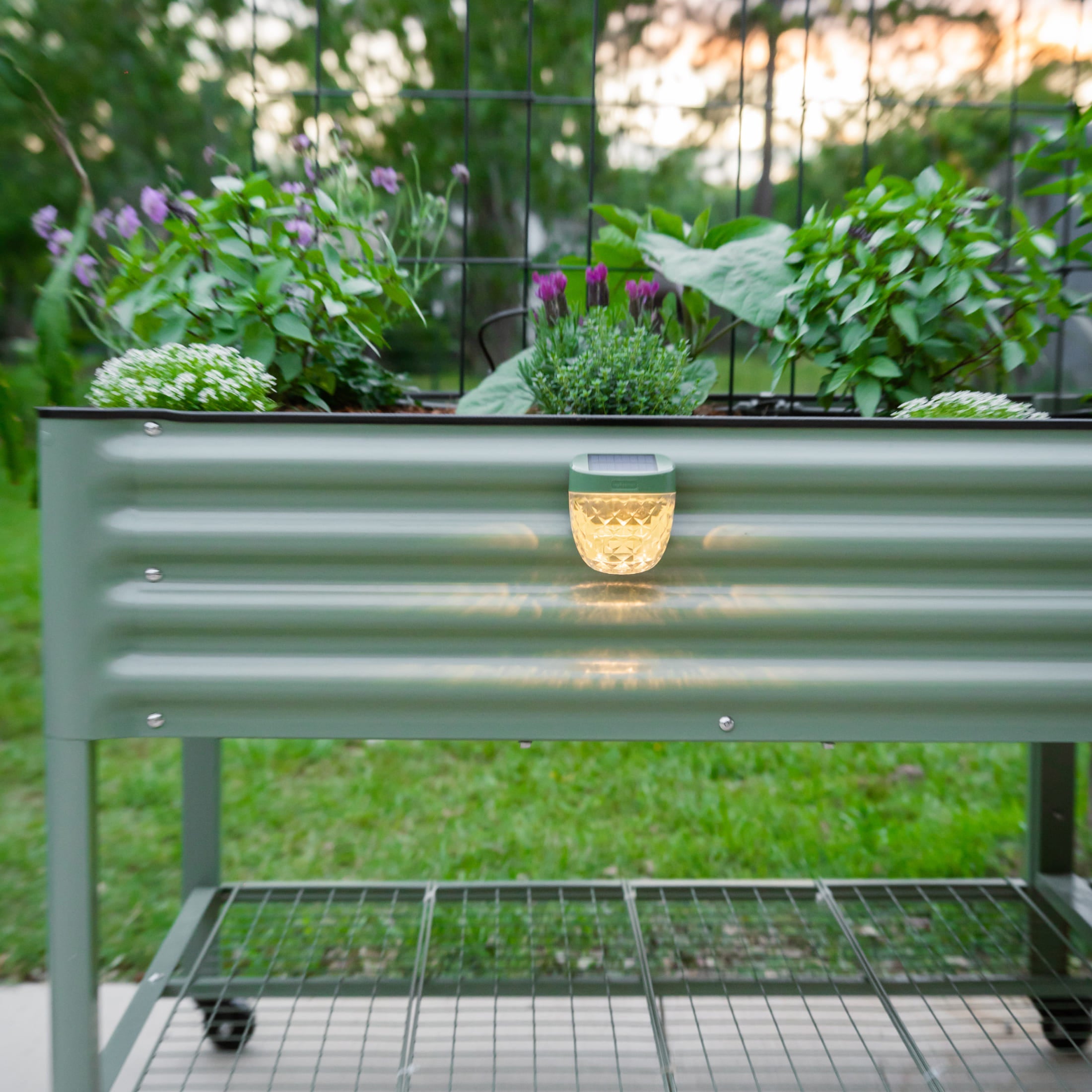 Diamond Garden Solar Light - Classic Mount