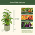 EZ Self-Watering Tomato Planter with Trellis Gen 2