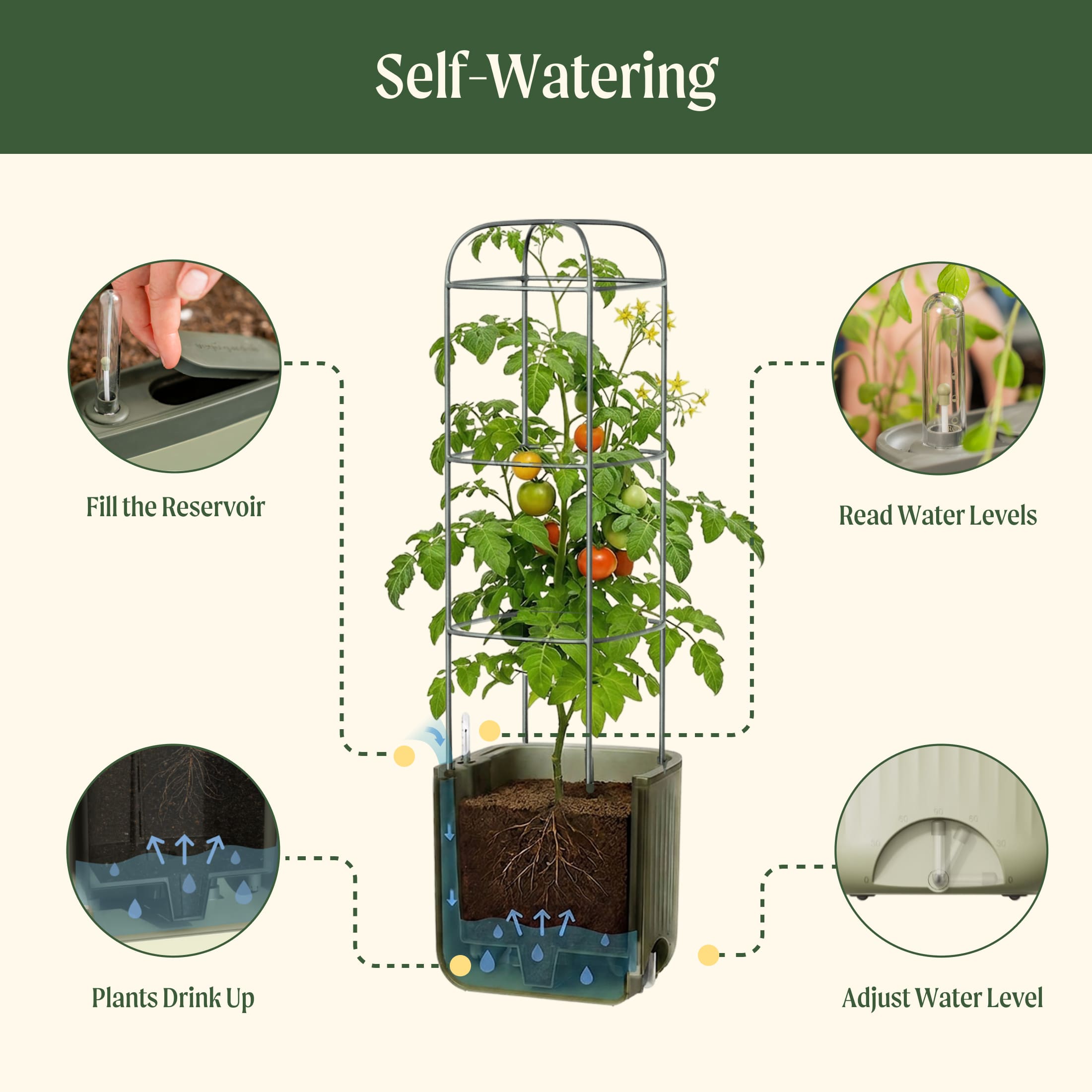 EZ Self-Watering Tomato Planter with Trellis Gen 2