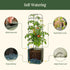EZ Self-Watering Tomato Planter with Trellis Gen 2