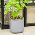EZ Self-Watering Tomato Planter with Trellis Gen 2