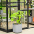 EZ Self-Watering Tomato Planter with Trellis Gen 2
